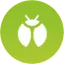Bug