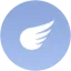 Flying