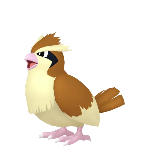Pidgey