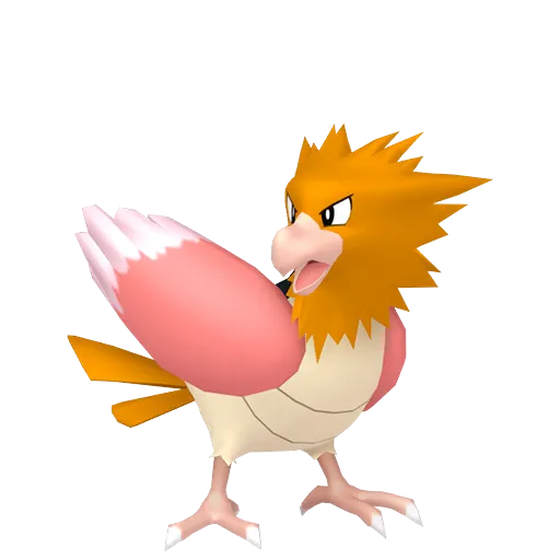 Spearow