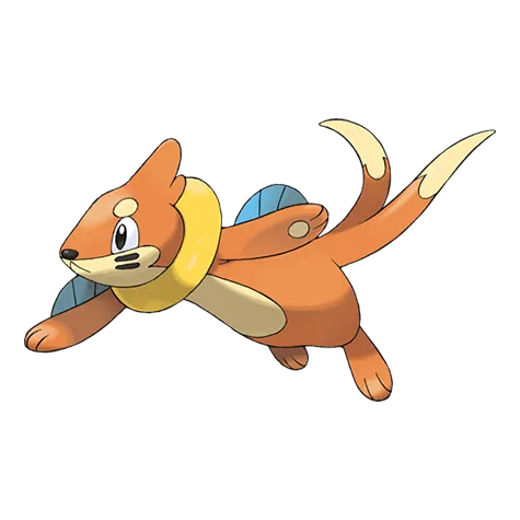 Buizel