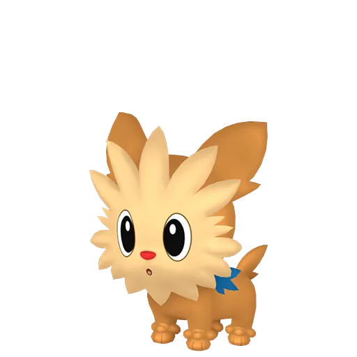 Lillipup